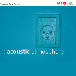 Acoustic Atmosphere